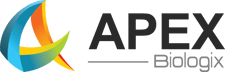 Apex Logo NEW